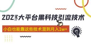 大平台黑科技引流技术，小白也能靠这些技术混到月入1w+(2022年的课程）-大兵轻创资源库