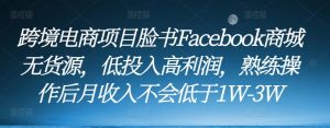 跨境电商项目脸书Facebook商城无货源,低投入高利润,熟练操作后月收入不会低于1W-3W-大兵轻创资源库