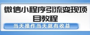 微信小程序引流变现项目教程，当天操作当天就有收益，变现不再是难事-大兵轻创资源库
