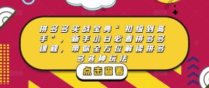 拼多多实战宝典“初级到高手”，新手小白必看拼多多课程，带你全方位解读拼多多各种玩法-大兵轻创资源库