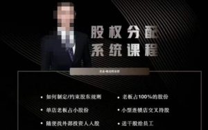 韩老师聊美业-美业股权分配系统课程，如何制定约束股东规则+老板占100%的股份+单店老板占小股份等-大兵轻创资源库