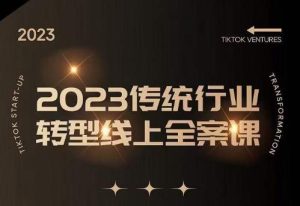 数据哥2023传统行业转型线上全案课,2023年传统行业如何转型线上,线上创业/传统转型避坑宝典-大兵轻创资源库