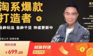 锋投老叶全店动销,淘系干货汇总,各种玩法,淘系爆款打造者-大兵轻创资源库