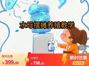 水母摆摊教学，包括摆摊技术、养殖技术、拿货渠道、抖音运营等-大兵轻创资源库