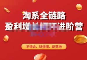 淘系全链路盈利增长闭环进阶营，融合全店动销，学得会、听得懂、能落地！-大兵轻创资源库