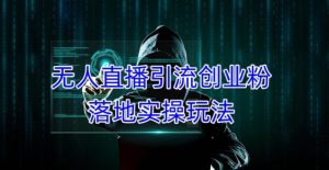 外面收费3980的无人直播引流创业粉落地实操玩法，单日引100+精准创业粉-大兵轻创资源库