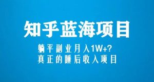 知乎蓝海玩法，躺平副业月入1W+，真正的睡后收入项目（6节视频课）-大兵轻创资源库