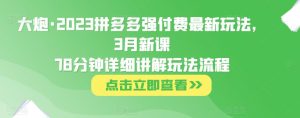 大炮·2023拼多多强付费最新玩法,3月新课78分钟详细讲解玩法流程-大兵轻创资源库