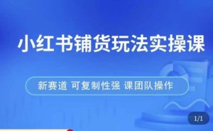 小红书铺货玩法实操课,流量大,竞争小,非常好做,新赛道,可复制性强,可团队操作-大兵轻创资源库