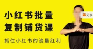 张宾·小红书批量复制铺货课,小红书0-1快速起号变现玩法,抓住小红书的流量红利(更新2023年3月)-大兵轻创资源库