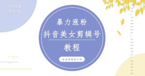 抖音快手暴力涨粉美女混剪视频教程，百分百过原创图片教程！附带违规申诉方法-大兵轻创资源库