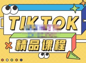 电商孵化中心·TikTok精品课程，教你玩转海外抖音，低成本创业，带您从0开始玩转TikTok-大兵轻创资源库