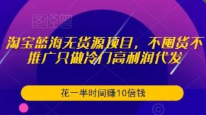 淘宝蓝海无货源项目，不囤货不推广只做冷门高利润代发，花一半时间赚10倍钱-大兵轻创资源库
