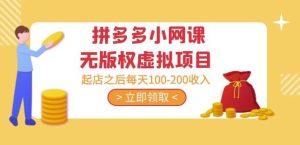 黄岛主·拼多多小网课无版权虚拟项目分享课：起店之后每天100-200收入-大兵轻创资源库