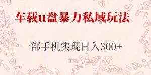 车载u盘暴力私域玩法,长期项目,仅需一部手机实现日入300+-大兵轻创资源库