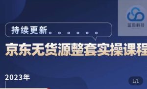 蓝七·2023京东店群整套实操视频教程,京东无货源整套操作流程大总结,减少信息差,有效做店发展-大兵轻创资源库