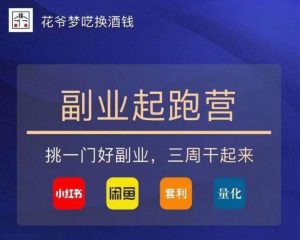 花爷-副业起跑营第2期,挑一门好副业,三周干起来(闲鱼|小红书|量化|套利)-大兵轻创资源库