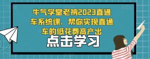 牛气学堂老衲2023直通车系统课,帮你实现直通车的低花费高产出-大兵轻创资源库