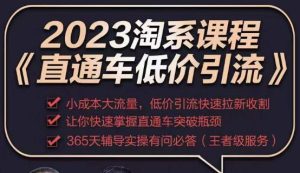 2023直通车低价引流玩法课程,小成本大流量,低价引流快速拉新收割,让你快速掌握直通车突破瓶颈-大兵轻创资源库