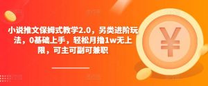 小说推文保姆式教学2.0,另类进阶玩法,0基础上手,轻松月撸1w无上限,可主可副可兼职-大兵轻创资源库