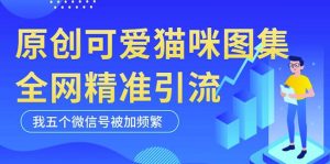 黑科技纯原创可爱猫咪图片,全网精准引流,实操5个VX号被加频繁-大兵轻创资源库