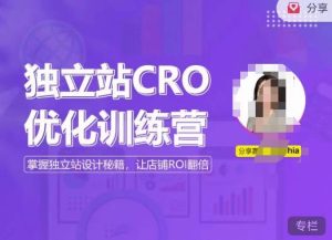 独立站CRO优化训练营,掌握独立站设计秘籍,打造高转化的独立站,让店铺ROI翻倍-大兵轻创资源库