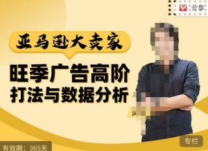 阿甘·亚马逊大卖家广告高阶打法与数据分析,走出传统广告误区;揭秘大卖惯用打法;数据驱动广告决策-大兵轻创资源库