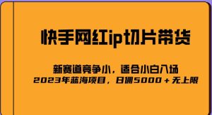 2023爆火的快手网红IP切片，号称日佣5000＋的蓝海项目，二驴的独家授权-大兵轻创资源库