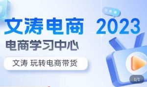 文涛电商·7天零基础自然流起号,快速掌握店铺运营的核心玩法,突破自然展现量,玩转直播带货-大兵轻创资源库
