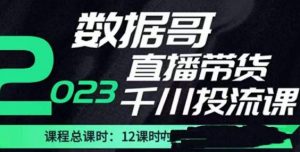 数据哥2023直播电商巨量千川付费投流实操课，快速掌握直播带货运营投放策略-大兵轻创资源库