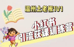 小红书1对1引流获客训练营:账号、内容、引流、成交(价值3999元)-大兵轻创资源库