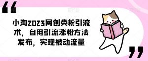 小淘2023网创类粉引流术,自用引流涨粉方法发布,实现被动流量-大兵轻创资源库