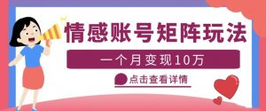 云天情感账号矩阵项目,简单操作,月入10万+可放大(教程+素材)-大兵轻创资源库
