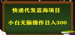 2023最新蓝海快递代发项目,小白零成本照抄也能日入300+-大兵轻创资源库