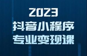 2023年抖音小程序变现保姆级教程，0粉丝新号，无需实名，3天起号，第1条视频就有收入-大兵轻创资源库