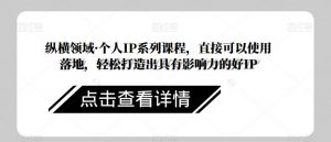 纵横领域·个人IP系列课程,直接可以使用落地,轻松打造出具有影响力的好IP-大兵轻创资源库