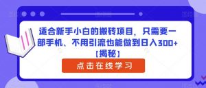 适合新手小白的搬砖项目,只需要一部手机、不用引流也能做到日入300+【揭秘】-大兵轻创资源库