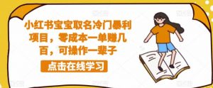 小红书宝宝取名冷门暴利项目,零成本一单赚几百,可操作一辈子-大兵轻创资源库