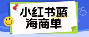 价值2980的小红书商单项目暴力起号玩法,一单收益200-300(可批量放大)-大兵轻创资源库