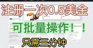 国外项目注册一次0.5美金,只需三分钟无脑操作,可批量同时放大操作,小白工作室福利【揭秘】-大兵轻创资源库