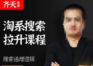 齐天电商·淘系搜索提升课程,搜索递增标准化,动销标准化流程-大兵轻创资源库