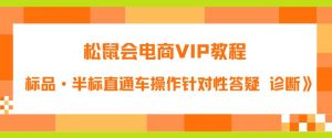 松鼠会电商VIP教程:松鼠《付费推广标品·半标直通车操作针对性答疑&诊断》-大兵轻创资源库