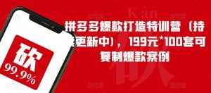 拼多多爆款打造特训营(持续更新中),199元*100套可复制爆款案例-大兵轻创资源库
