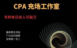cpa充场工作室,号称单日收入10000+(揭秘)-大兵轻创资源库