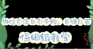 微信互推圈半自动引流方案,矩阵操作日引千人思路【详细视频教程】-大兵轻创资源库