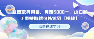 益智玩具项目,月赚5000+,小白新手坚持做就可以达到【揭秘】-大兵轻创资源库