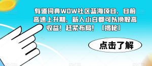 有道词典WOW社区蓝海项目，目前高速上升期，新人小白都可以换取高收益！赶紧布局！【揭秘】-大兵轻创资源库