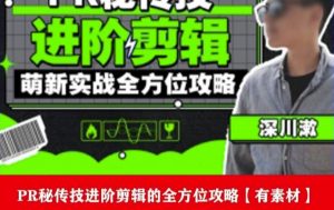 PR进阶剪辑培训班，让你快速成为剪辑大师12节视频课程+素材！-大兵轻创资源库