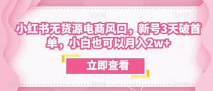 众狼电商余文小红书无货源电商风口,新号3天破首单,小白也可以月入2w+-大兵轻创资源库