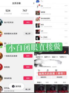 一天做完别一辈子的视频制作最近很火的《1000个野路子信息差》100%过原创【揭秘】-大兵轻创资源库